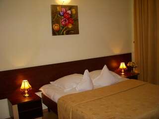 Отель Hotel Decebal Брашов Двухместный номер с 1 кроватью-5