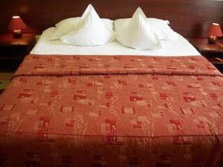 Отель Hotel Decebal Брашов Двухместный номер с 1 кроватью-8