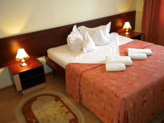 Отель Hotel Decebal Брашов Двухместный номер с 1 кроватью-11