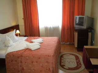 Отель Hotel Decebal Брашов Двухместный номер с 1 кроватью-1