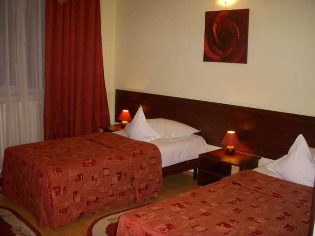 Отель Hotel Decebal Брашов-25